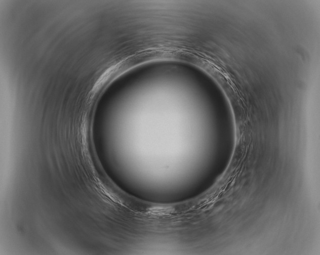 X0000115830051200911131514