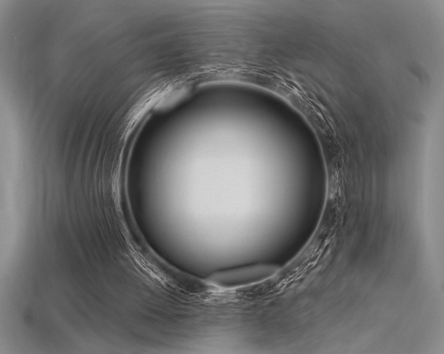 X0000115830052200911131514