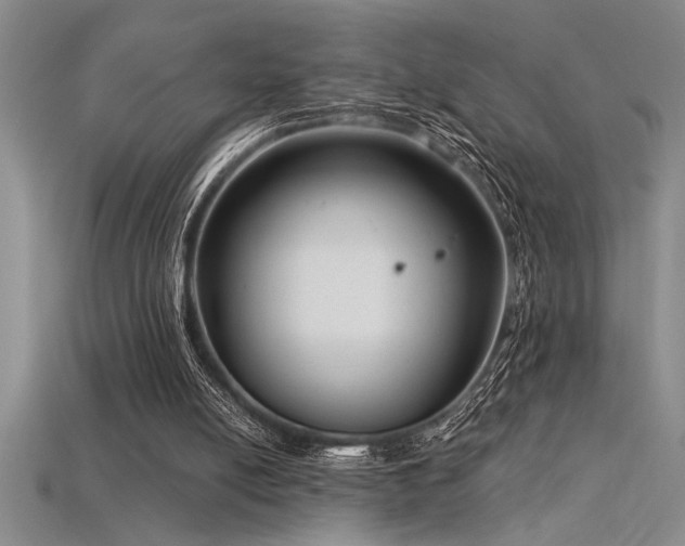 X0000115830054200911131514