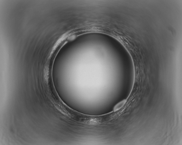 X0000115830056200911131514