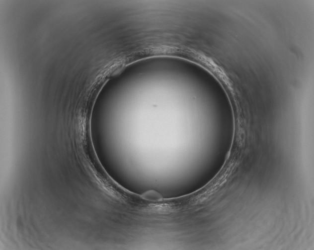 X0000115830057200911131514