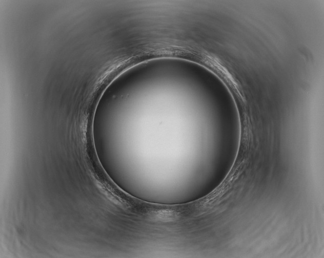 X0000115830058200911131514