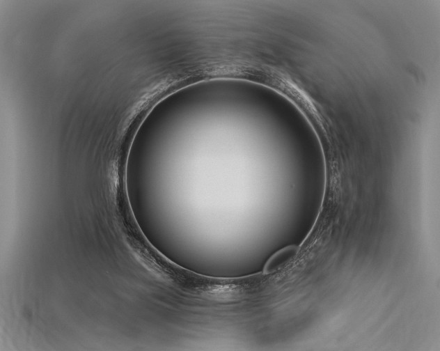 X0000115830059200911131514