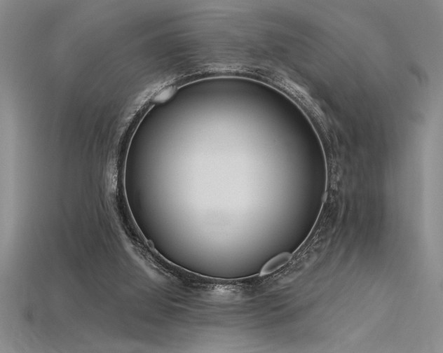 X0000115830060200911131514