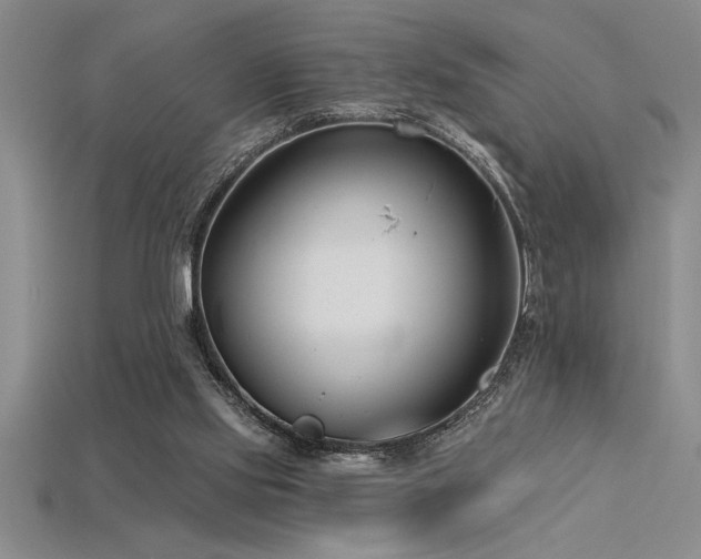 X0000115830061200911131514