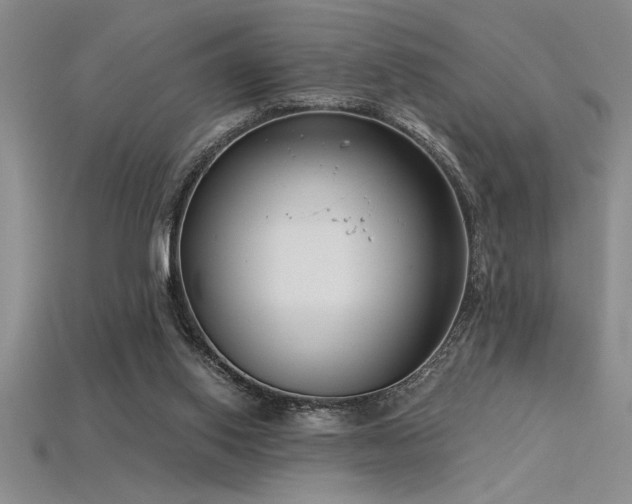 X0000115830062200911131514