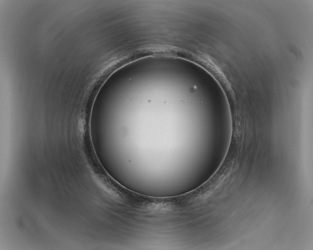 X0000115830063200911131514