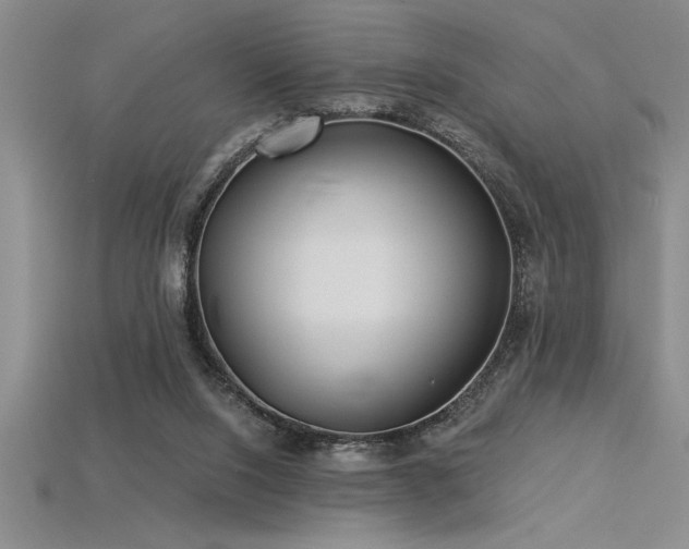 X0000115830064200911131514