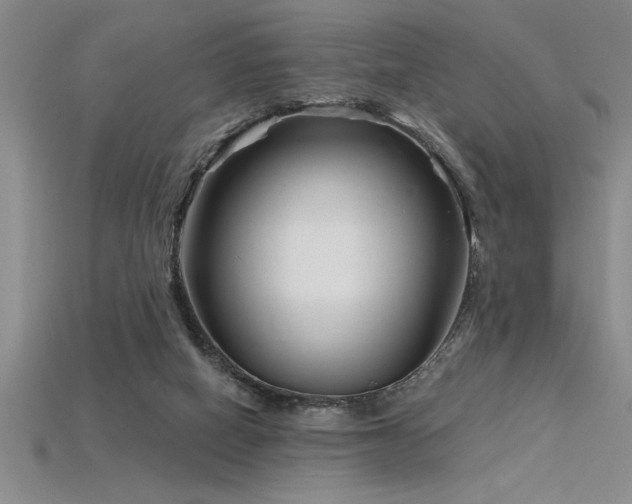 X0000115830066200911131514