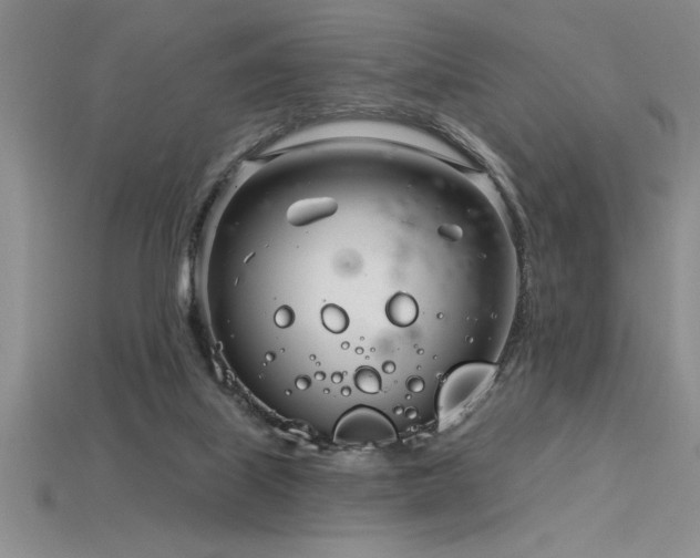 X0000115830067200911131514