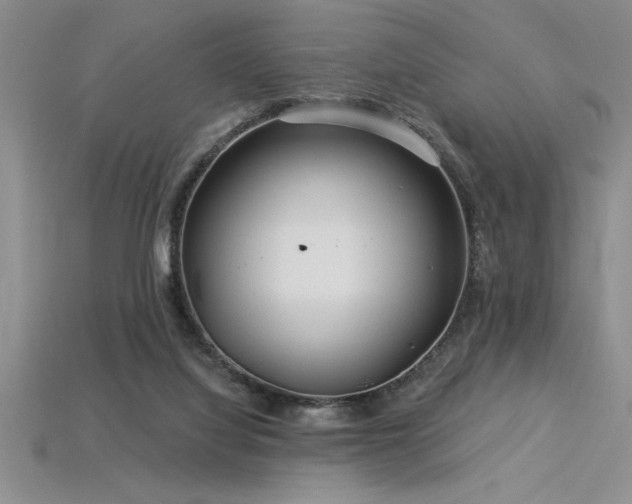 X0000115830068200911131514