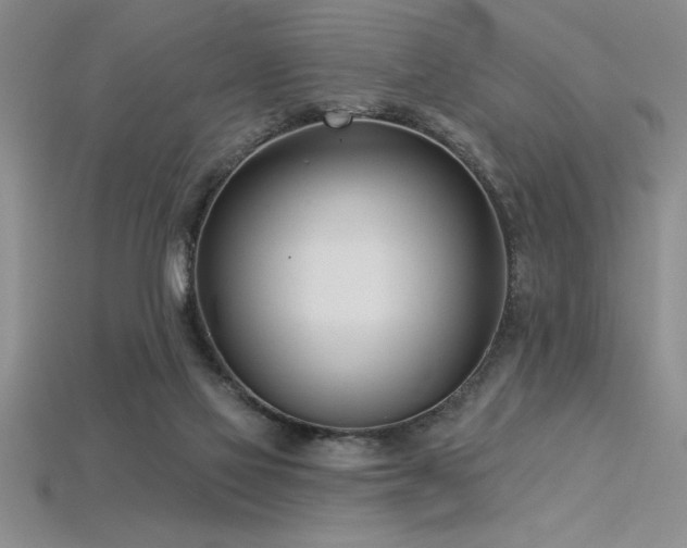 X0000115830069200911131514