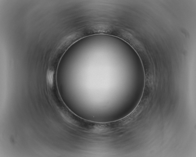 X0000115830070200911131514