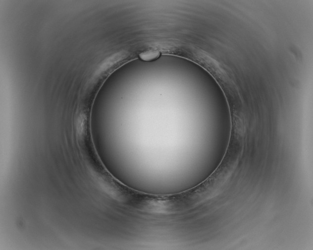 X0000115830071200911131514