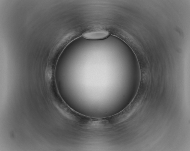 X0000115830072200911131514