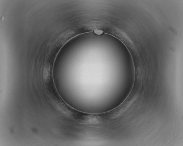 X0000115830073200911131514