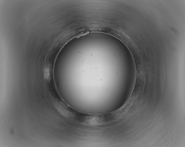 X0000115830074200911131514