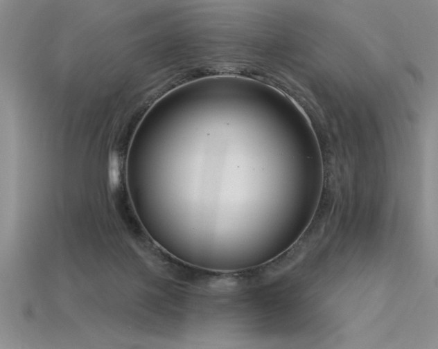 X0000115830075200911131514