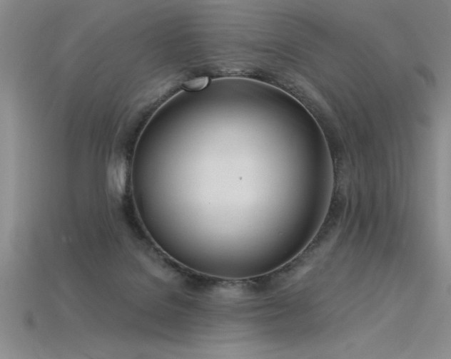 X0000115830076200911131514