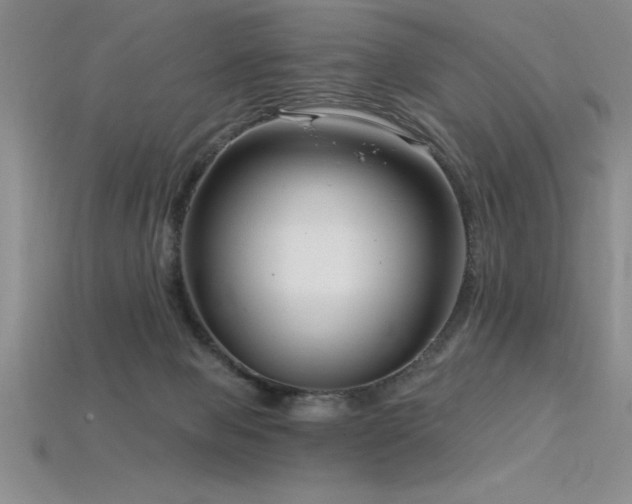 X0000115830077200911131515