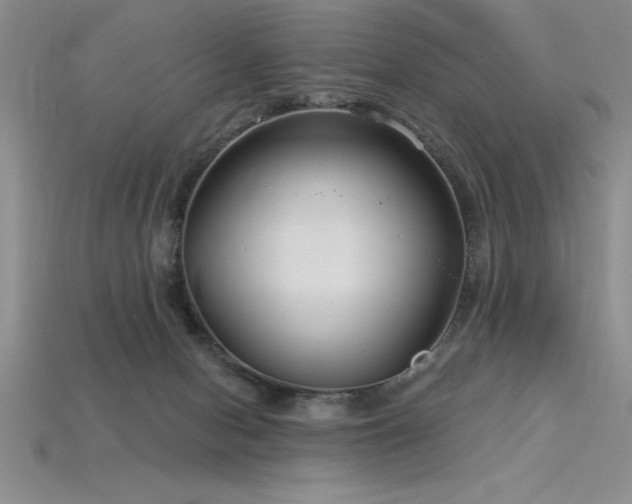 X0000115830078200911131515