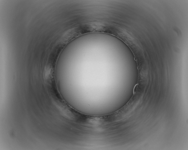 X0000115830079200911131515