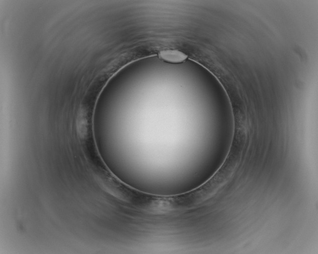 X0000115830080200911131515