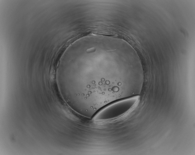 X0000115830081200911131515