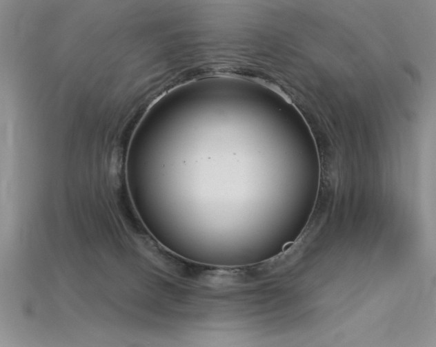 X0000115830082200911131515