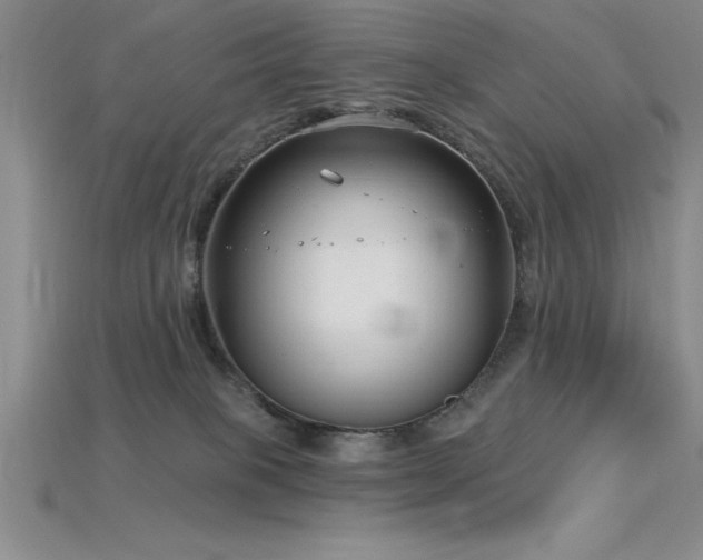 X0000115830085200911131515