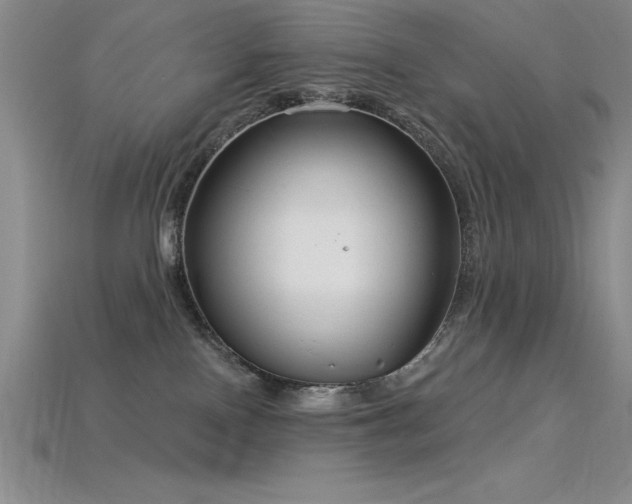 X0000115830090200911131515