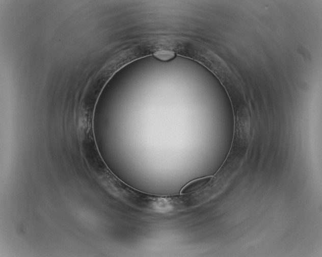 X0000115830091200911131515