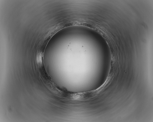 X0000115830094200911131515