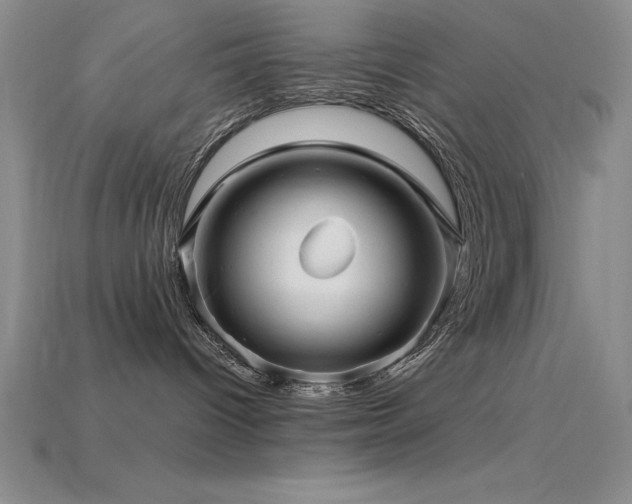 X0000115830096200911131515