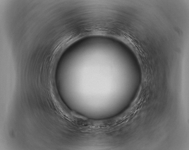 X0000115830097200911131514