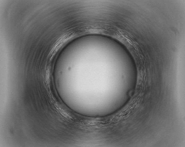 X0000115830098200911131514