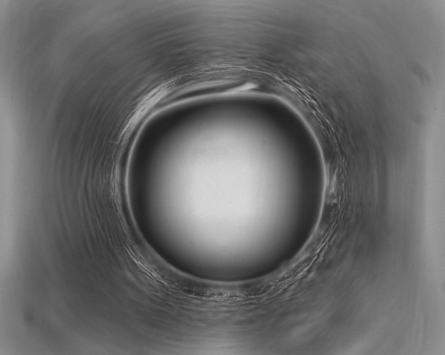 X0000115830099200911131514