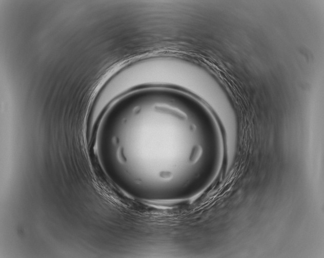 X0000115830100200911131514