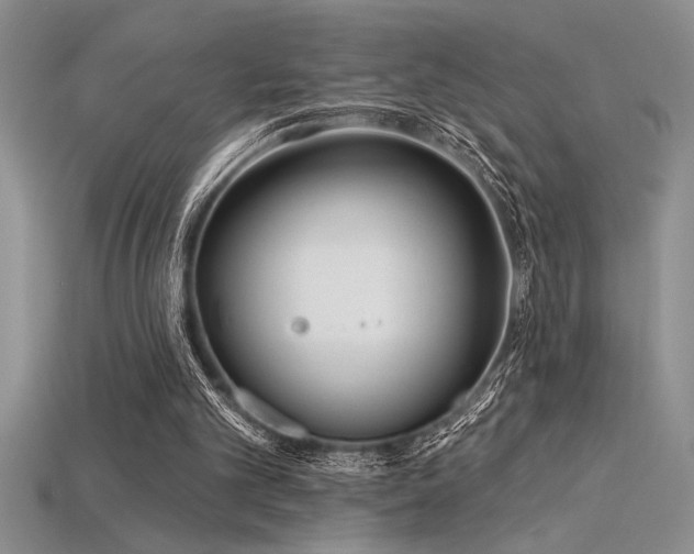 X0000115830101200911131514