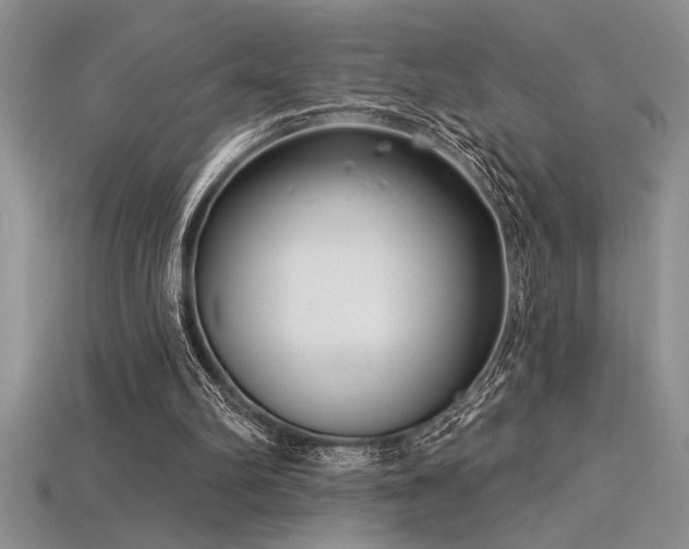 X0000115830102200911131514