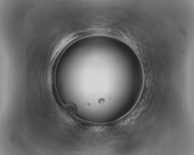 X0000115830103200911131514