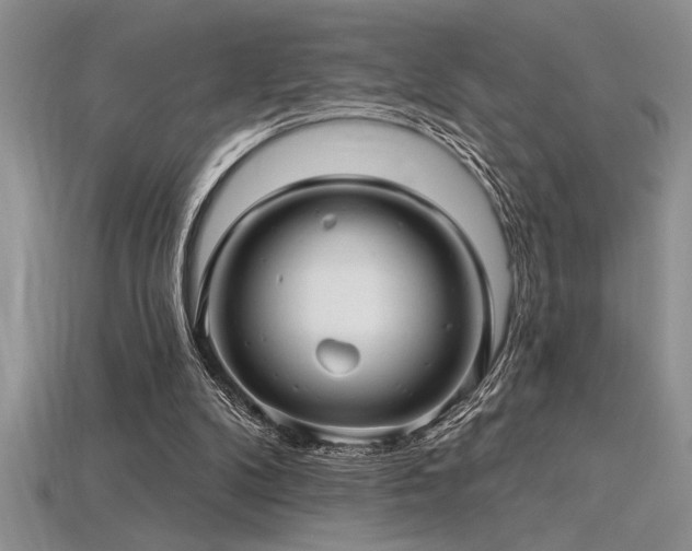 X0000115830104200911131514