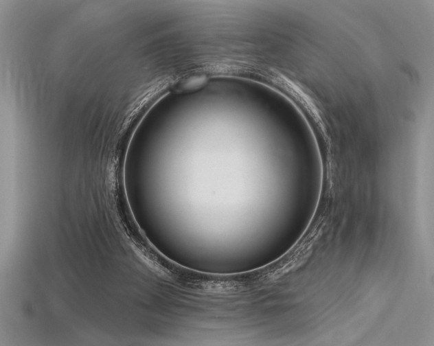 X0000115830105200911131514