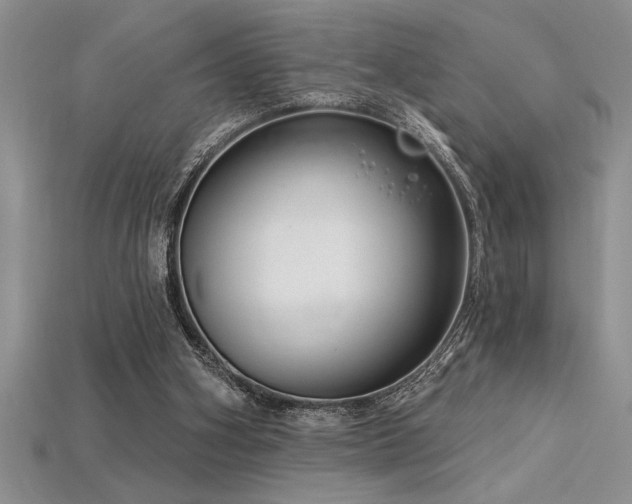 X0000115830106200911131514