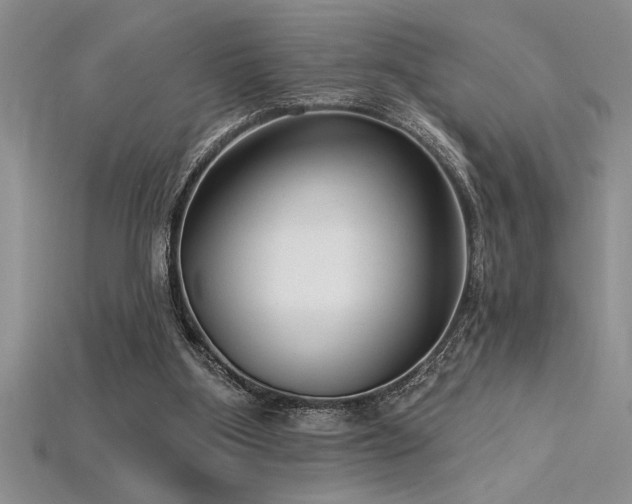 X0000115830107200911131514