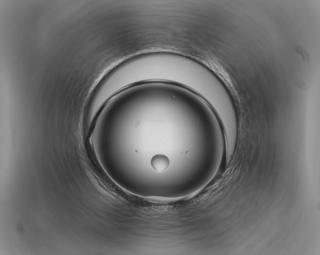 X0000115830108200911131514