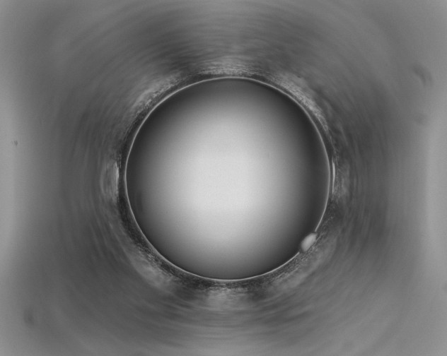 X0000115830109200911131514