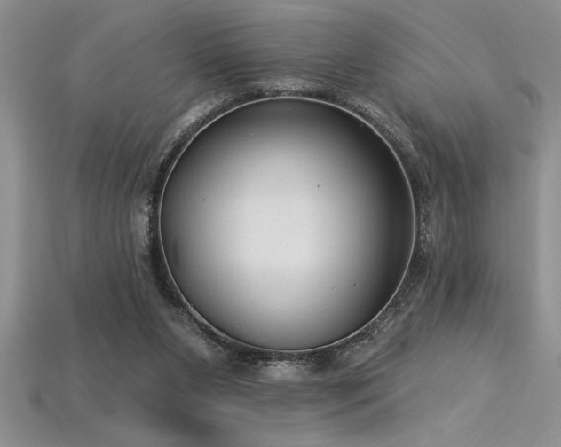 X0000115830111200911131514