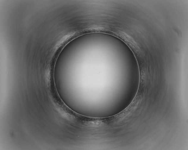 X0000115830112200911131514