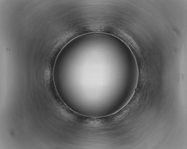 X0000115830113200911131514